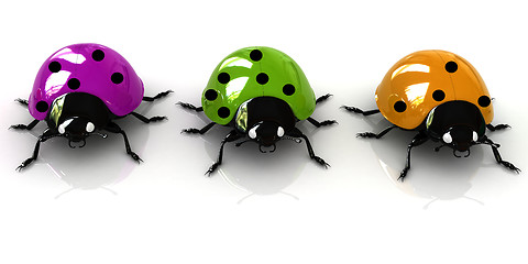 Image showing Ladybirds