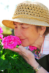 Image showing Senior woman gardening