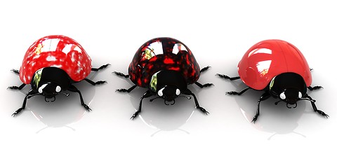 Image showing Ladybirds