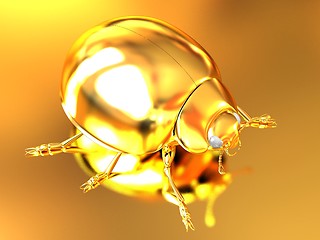 Image showing golden beetle 