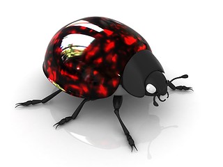 Image showing Ladybird 