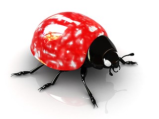 Image showing Ladybird 