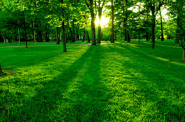 Image showing Green park