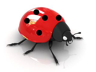 Image showing Ladybird 