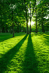 Image showing Green park