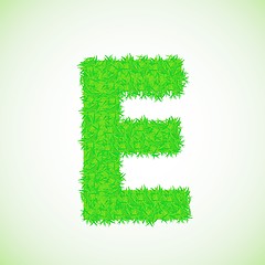 Image showing grass letter E
