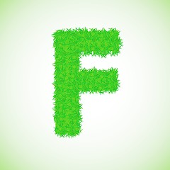 Image showing grass letter F