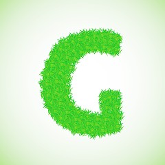 Image showing grass letter G