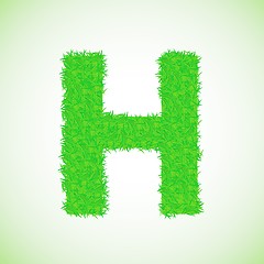 Image showing grass letter H