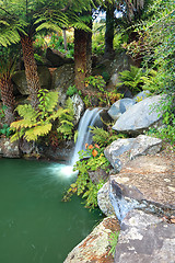 Image showing Waterfall at Mt Tomah