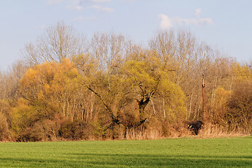 Image showing Landscape