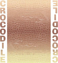 Image showing Crocodile Skin Texture And Text