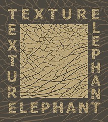 Image showing Elephant skin texture