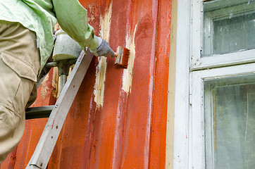 Image showing Painter man on ladder paint wooden house wall 