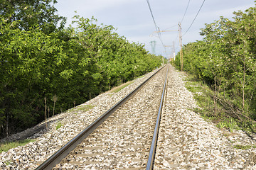Image showing Railroad and tress
