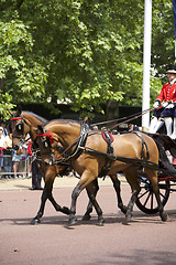 Image showing Royal Guards in London