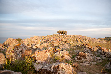 Image showing galilee landscape