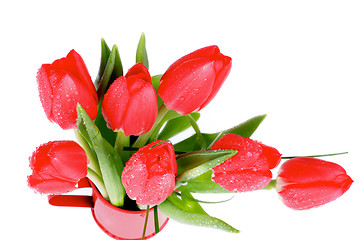 Image showing Spring Tulips