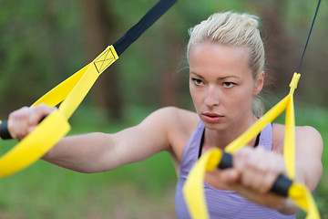 Image showing Training with fitness straps outdoors.