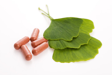 Image showing Ginkgo biloba leaves in mortar and pills