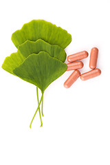 Image showing Ginkgo biloba leaves in mortar and pills