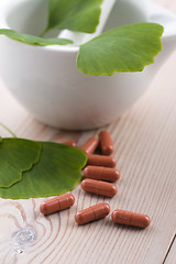 Image showing Ginkgo biloba leaves in mortar and pills