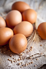 Image showing  fresh brown eggs, wheat seads and ears 