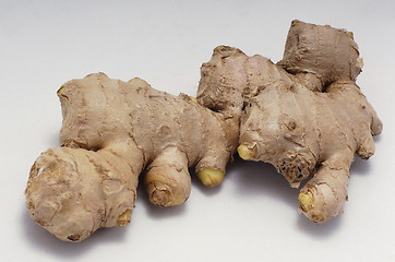 Image showing ginger root