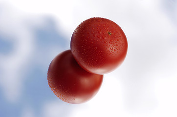 Image showing Tomato with waterdrops