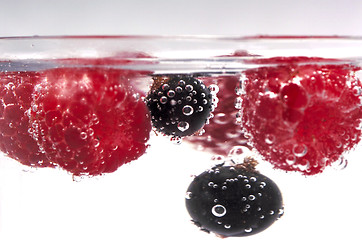 Image showing Different berries