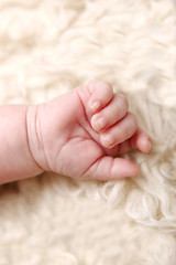 Image showing Hand of a small baby lying on a blanket