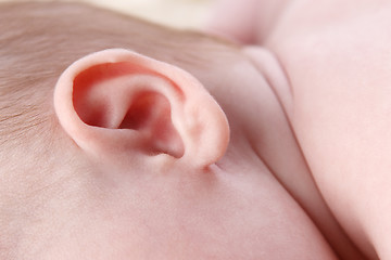 Image showing Ear of a small baby