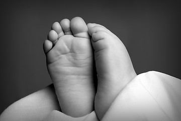 Image showing Baby feet in black and white