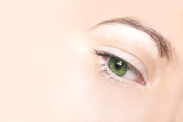 Image showing Close-up of a green female eye