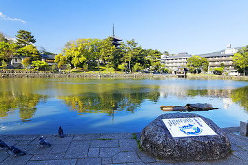 Image showing Nara, Japan at Sarusawa Pond. 