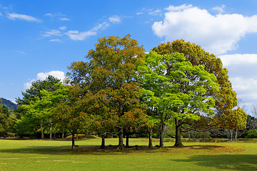 Image showing Green planet , Earth 