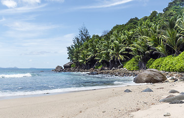 Image showing Tropical island beach