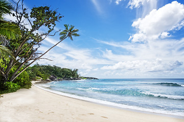 Image showing tropical island