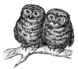 Image showing two owls