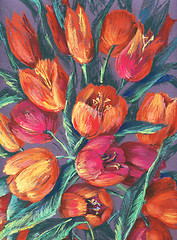 Image showing tulips