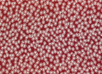 Image showing Textile floral background