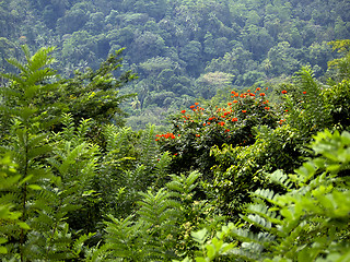 Image showing Beautiful landscape in the mountains