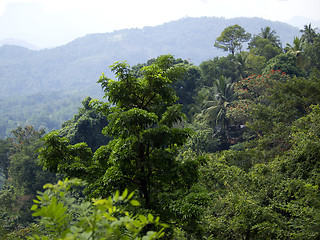 Image showing Beautiful landscape in the mountains