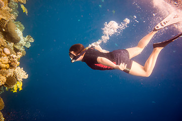 Image showing Snorkeler