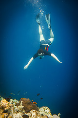 Image showing Snorkeler