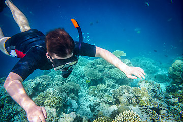 Image showing Snorkeler