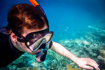 Image showing Snorkeler