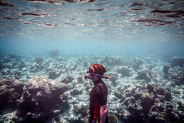 Image showing Snorkeler