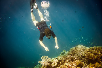 Image showing Snorkeler