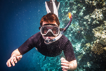 Image showing Snorkeler